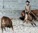 équitation western et élevage en Auvergne Good_l10