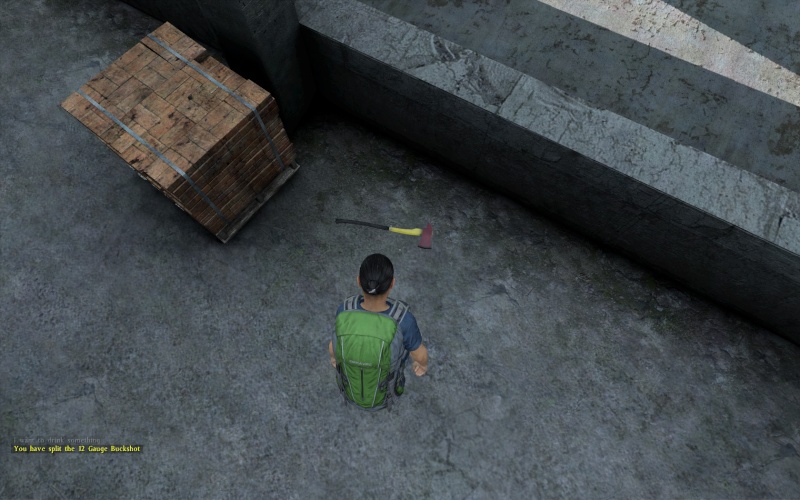 [DayZ] Alpha Early Acces - Page 2 2014-011