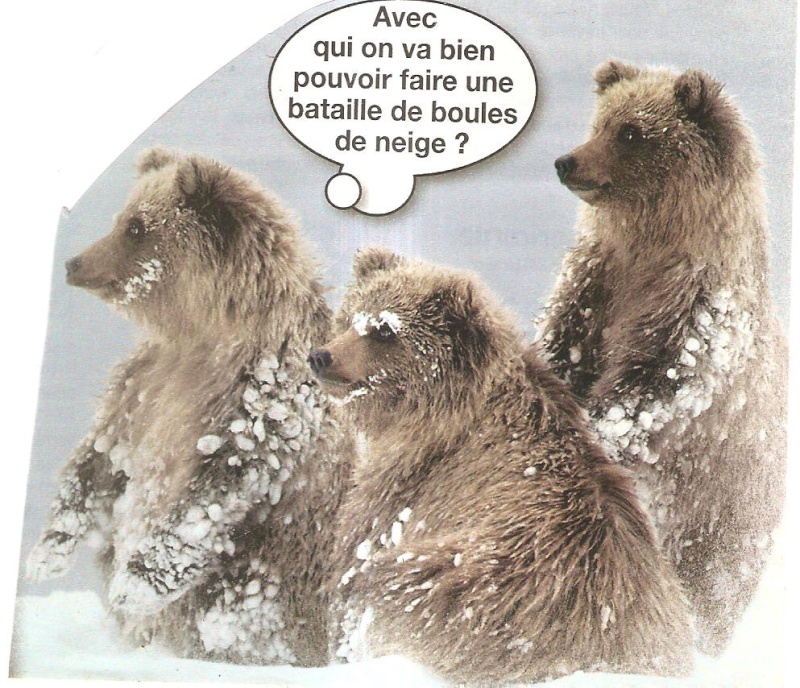 L'ours fait de l'humour - Page 3 Humour14