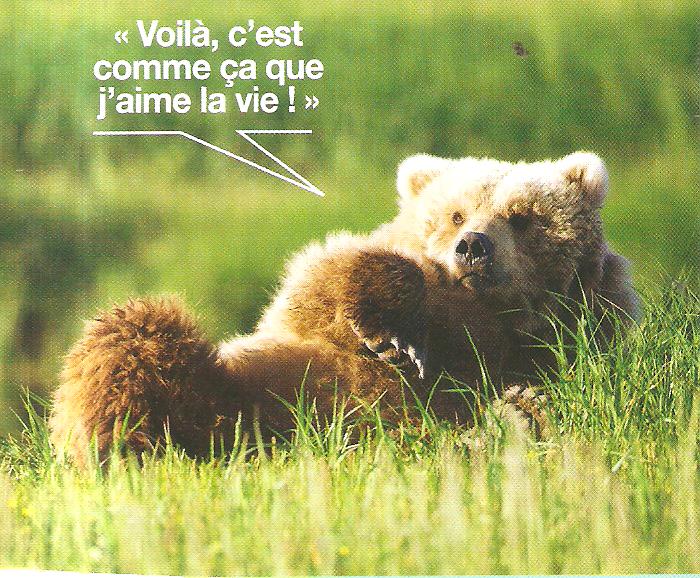 L'ours fait de l'humour - Page 3 Humour15