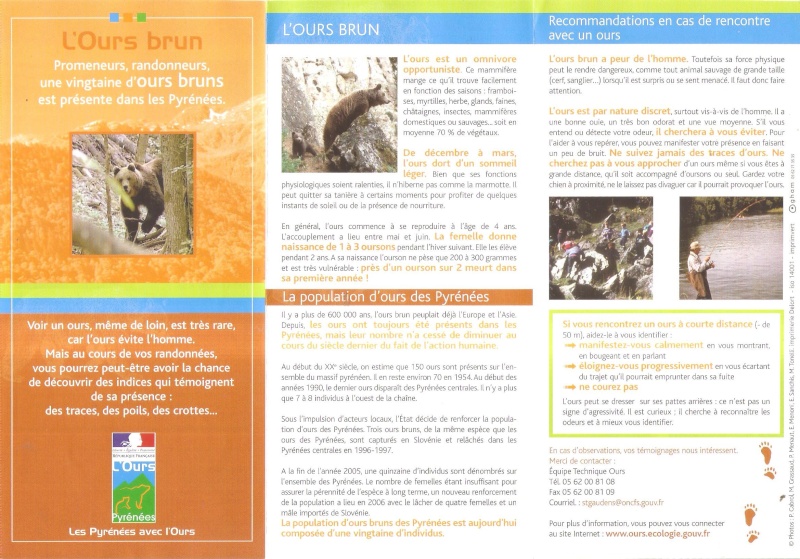 ·	Ursus arctos arctos : l’ours brun - Page 2 Ours_b10