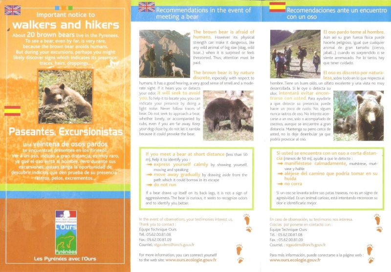 ·	Ursus arctos arctos : l’ours brun - Page 2 Ours_b11