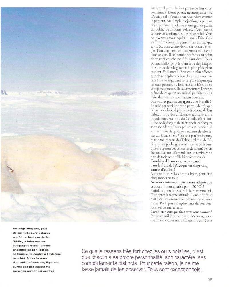 pôle nord rencontre avec des ours exceptionnels (terre sauvage  N°103 -1996) Terre_33