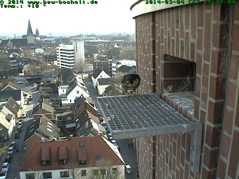 Diversen Duitsland 2014:  Oberhausen/Mülheim/Karlsruhe/Bocholt  e.a. - Pagina 4 Webcam12