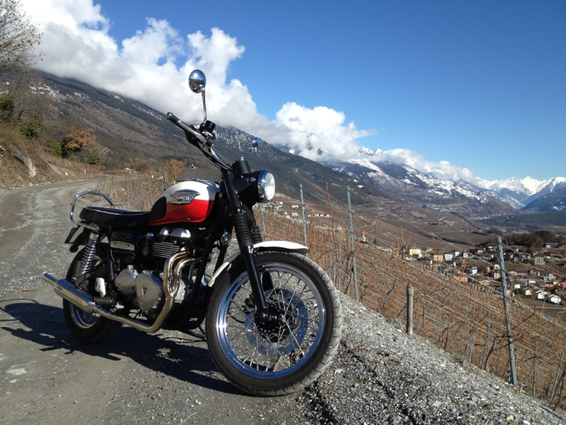 Ma Triumph Scrambler - Page 11 Scram210