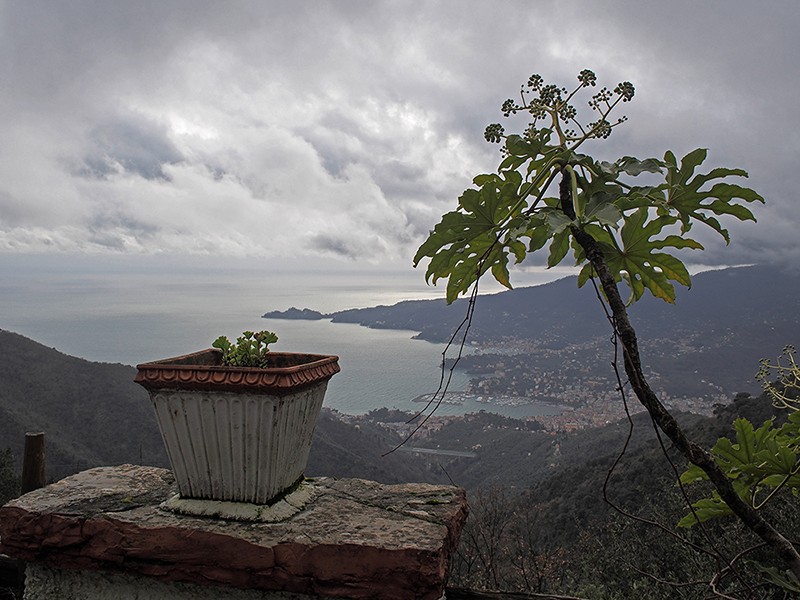  La côte Ligurienne Italienne depuis les hauteurs de  Rapallo ! P2280010