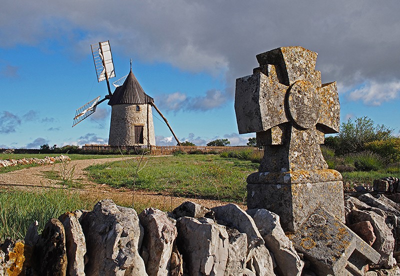  Dans le Larzac  Pa050010