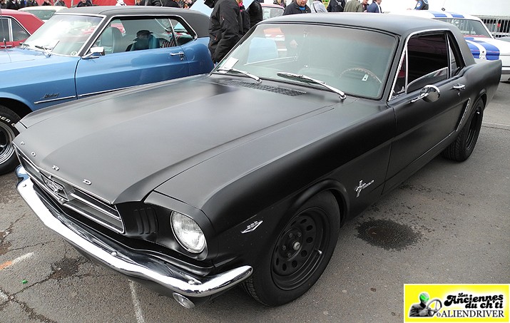 LES 50 ANS DE LA FORD MUSTANG A L'ESPLANADE DE LILLE LE 27.04.2014 50_a_m54