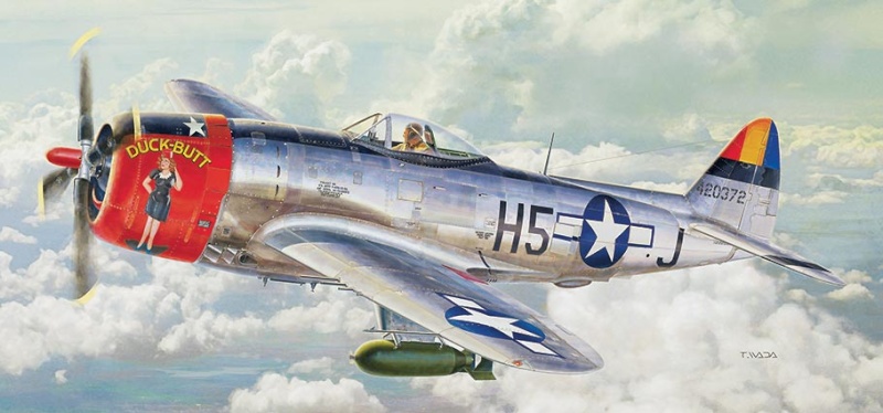 Republic P-47 D Thunderbolt Nose Art "Duck-Butt" 1/32 (Hasegawa) Hsgs8211