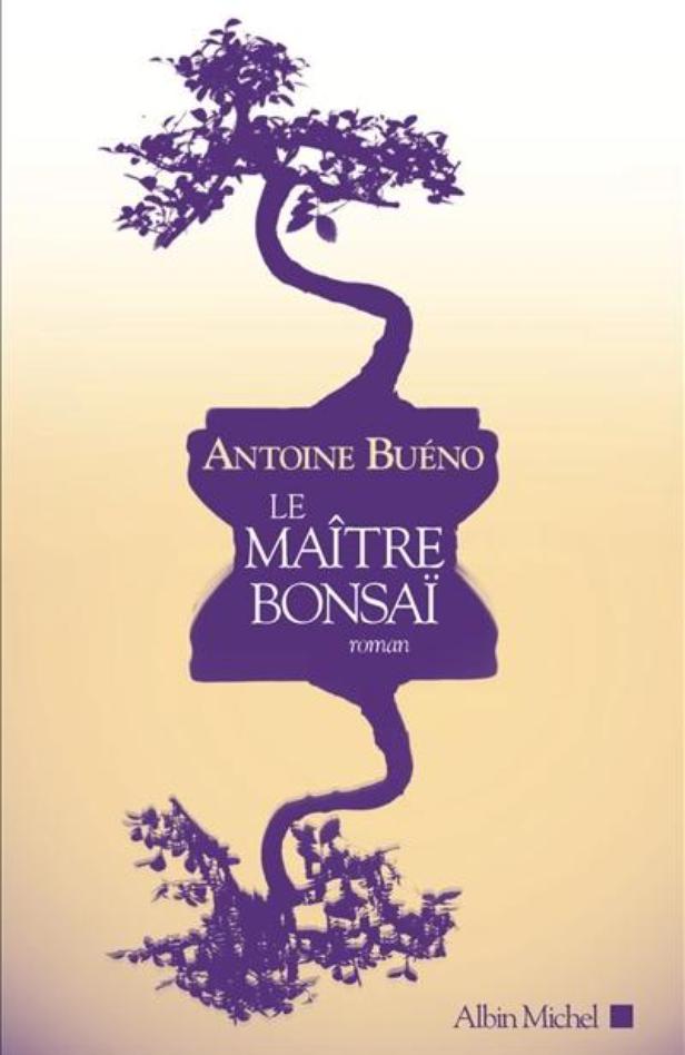 Antoine BUENO (France) Maitre10