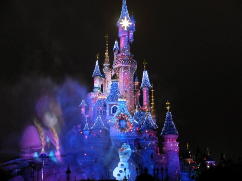 Disney Dreams ! spectacle nocturne. - Page 17 1410