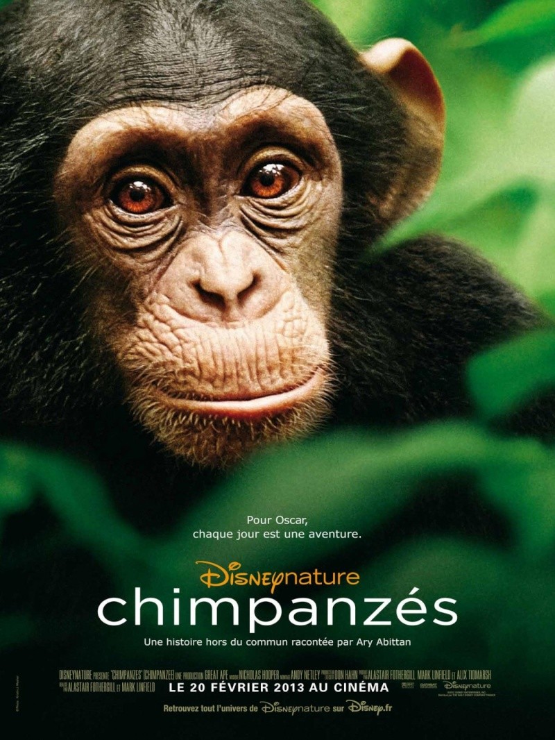 Films Disney sortit en 2013 Chimpa10