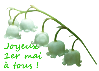 Parlons de tout et de rien... - Page 23 Muguet10