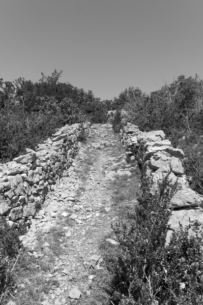 Corrèze, Lot, Cantal. 20130833