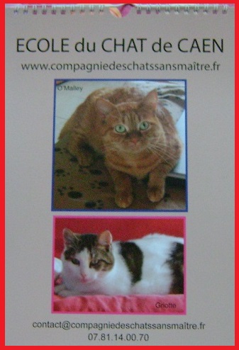 Calendriers 2014 - Ecole du chat de Caen Calend12