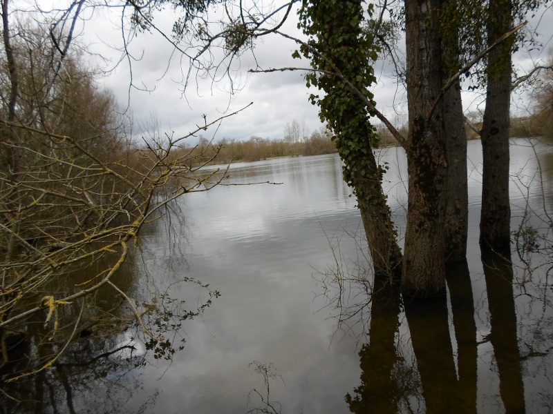 sortie feeder le 16-02-2014 Sam_0757