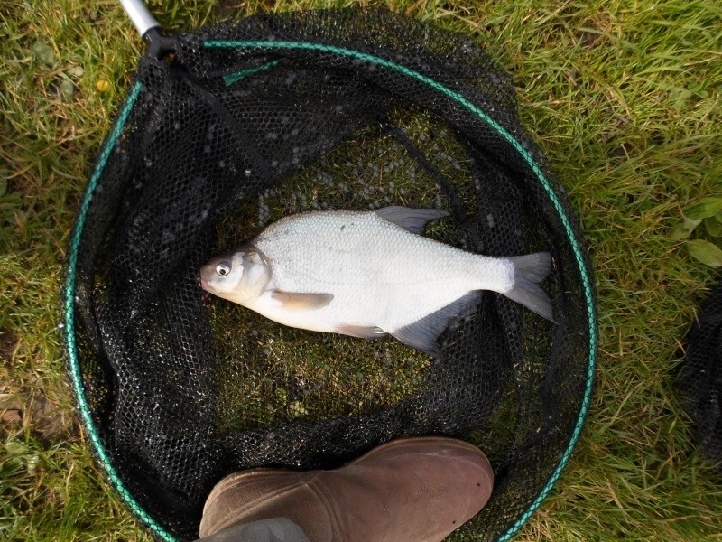 voter avant de pêcher demain Sam_0833