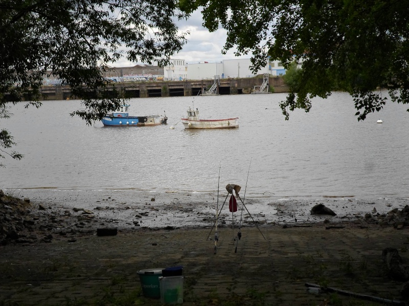 Petite sortie Loire Trentemoult le 26/05/2014 Sam_0934