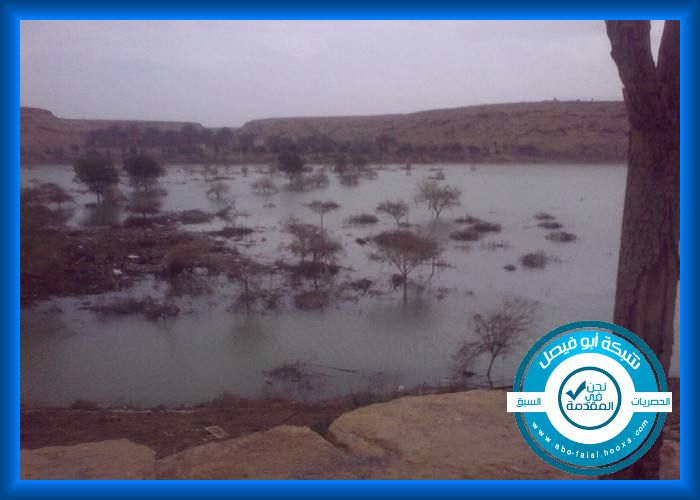 تغطية حصرية : في مدينة الرياض - وادي حنيفة ( سد العلب ) في أجواء غائمة ورذاذ مطر ( صور + فيديو ) 210
