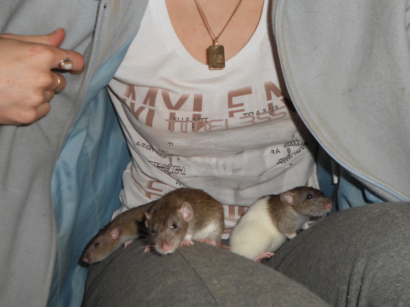 Trois petites trouvées dans une poubelle cherchent famille aimante Dscn6015