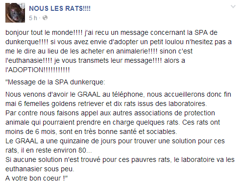 [à clôturer] une centaine de rats de labo (Paris) - Page 3 Graal10