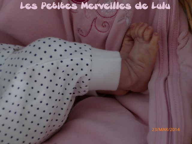 Les Petites Merveilles de Lulu Raleig87