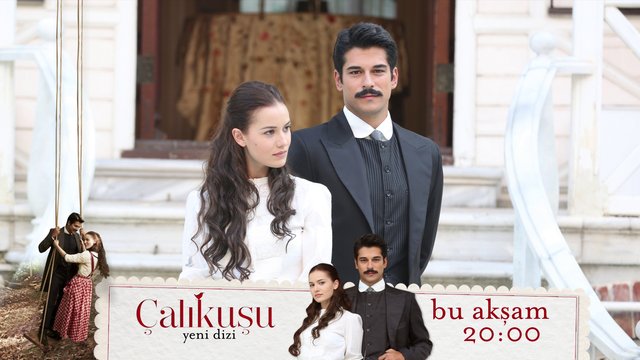 Çalıkuşu postere 45301810