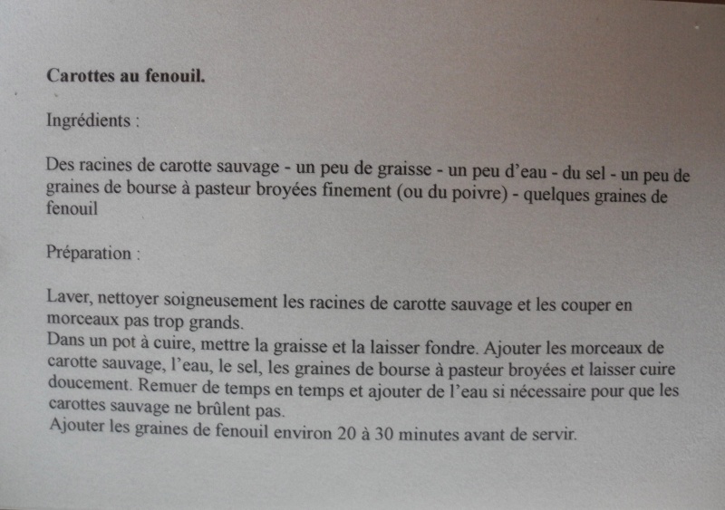 Formation médiation en archéologie - Page 2 Cuisin23