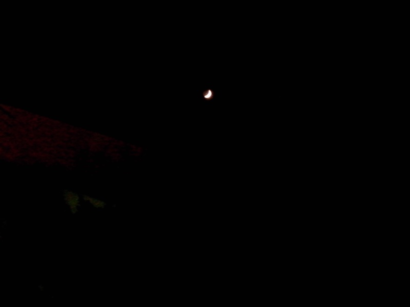 Lady Lune Lune_v11