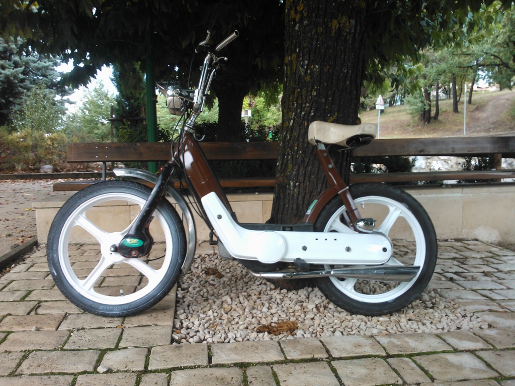 Mon ciao de 76 en pleine evolution... - Page 2 Wp_00011