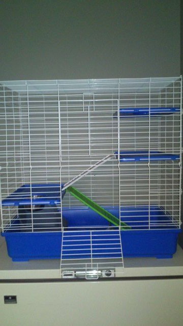 Nouvelle cage de mon loulou! _2011