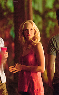 Candice Accola 2013ac20