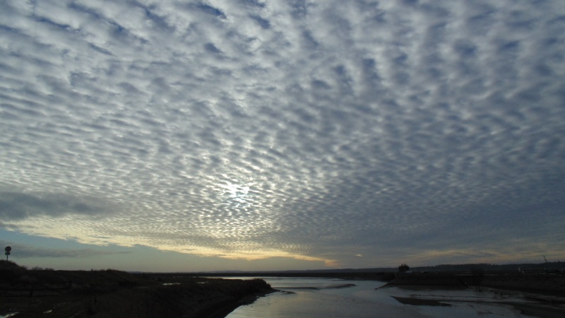 Très beau ciel au-dessus du Crotoy en janvier 2014 Dsc02917