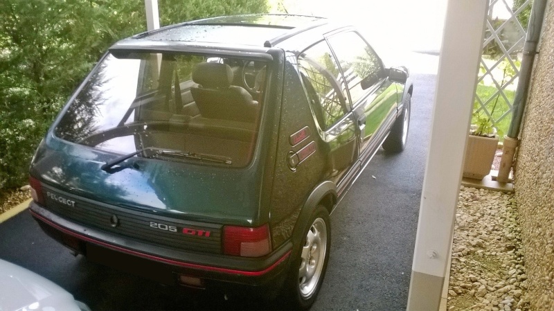 [205 GTI 1.9l vert sorrento 1991] Glooven Wp_20111