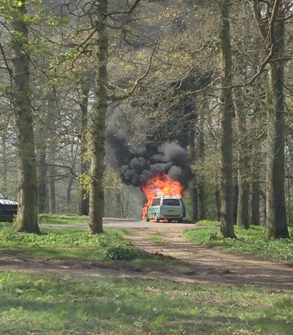 Sa voiture s'enflamme alors qu'elle visite l'enclos des lions  Articl13