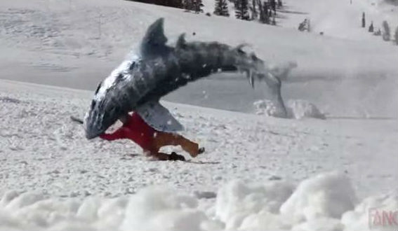 Avalanche Sharks, le film dans lequel les requins font du ski  Avalan10