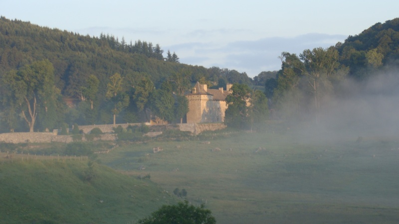 Photos de vous et de votre moto devant ....un château  Dsc01313