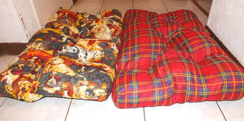 Coussin Chien Auchan 8 Page 2