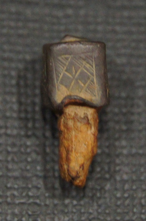 mitre de couteau Dsc06726