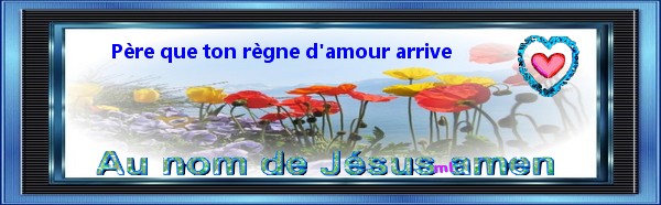 ✣ Bonne nouvelle de Jésus Christ  ❣  en ce mois de Février + jour aprés jour Lum_a10