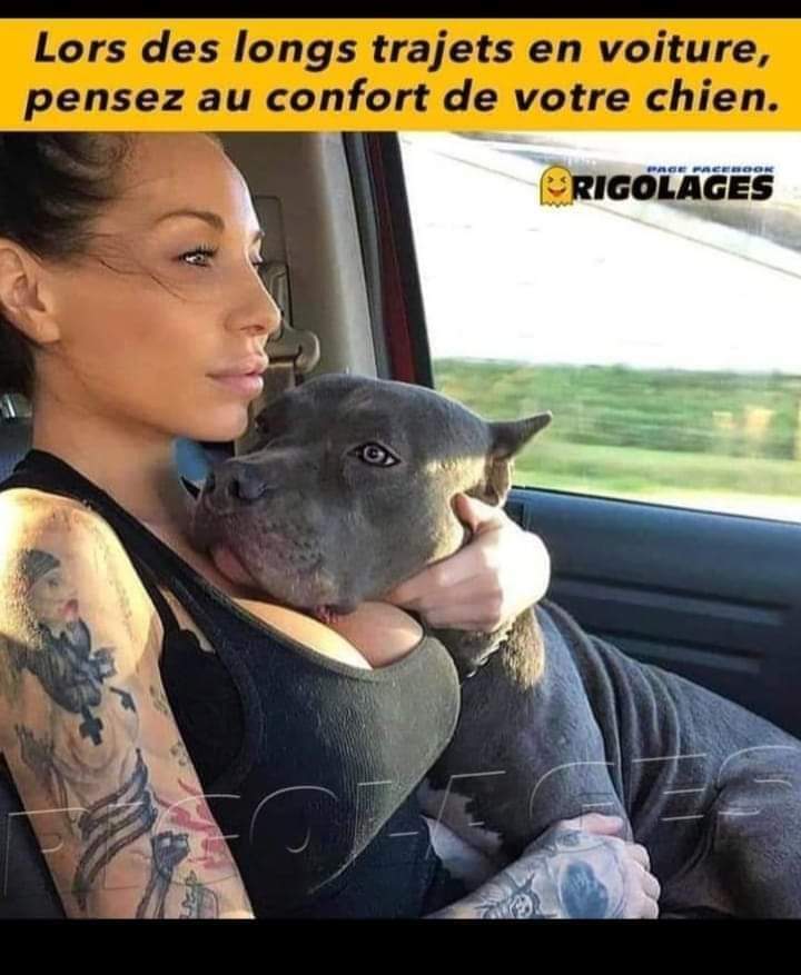 humour en images II - Page 10 36332810