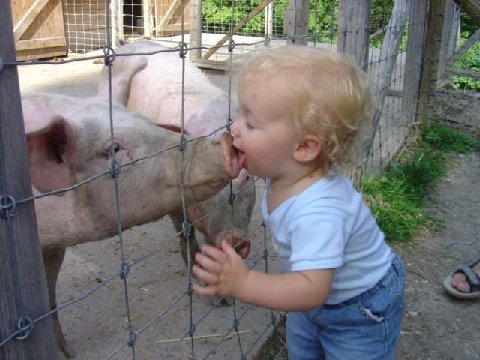 Un peu de tendresse dans ce monde de brutes ! - Page 9 Sbe3z710