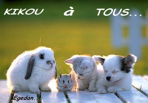 Salut les amis !!!!  - Page 3 69b71210