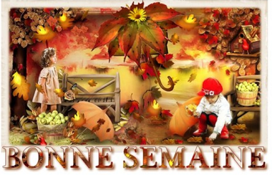 Salut les amis !!!! - Page 6 Bonne_10