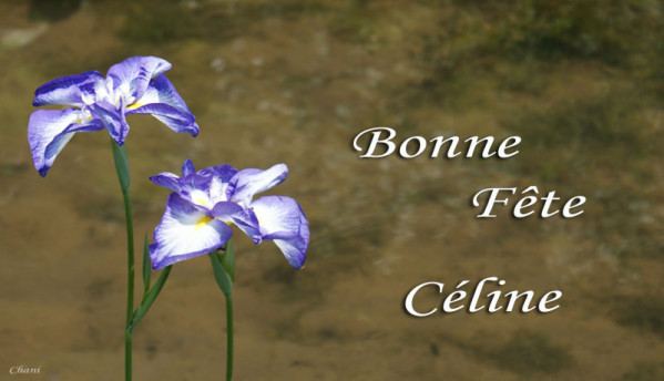 Salut les amis !!!! - Page 17 Celine10