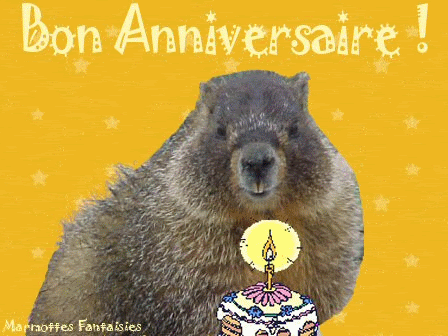 04 Anniversaires Alrivie Laurent Huberthenri Manoel Marmotte Matmotard Merco4758 Pasgo Sunflower