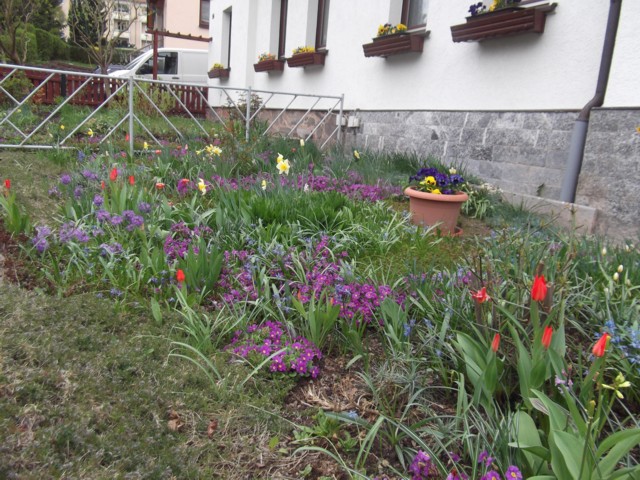 Frühling!!! - Seite 10 Frahli11