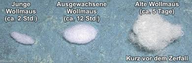 Schönes Wochenende! - Seite 2 Wollma10