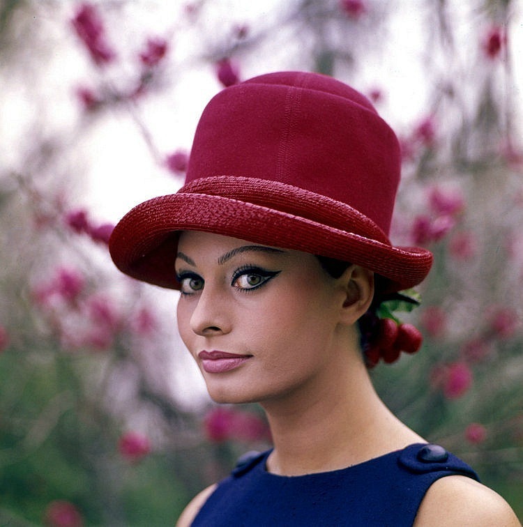 Sophia Loren is 75! - Page 5 Y_306310