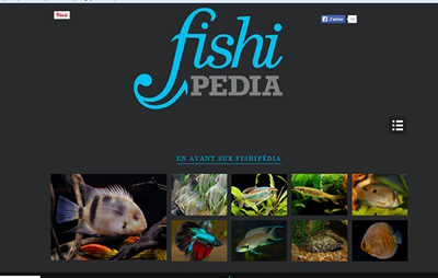 Fishipedia Fiship10
